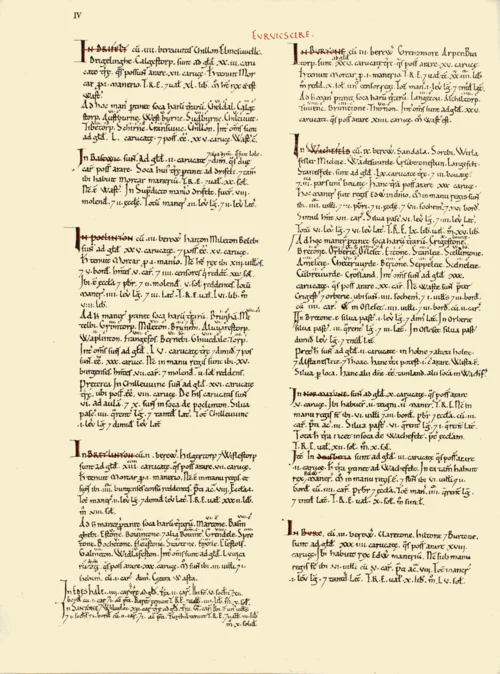 The Domesday Book Manuscript
