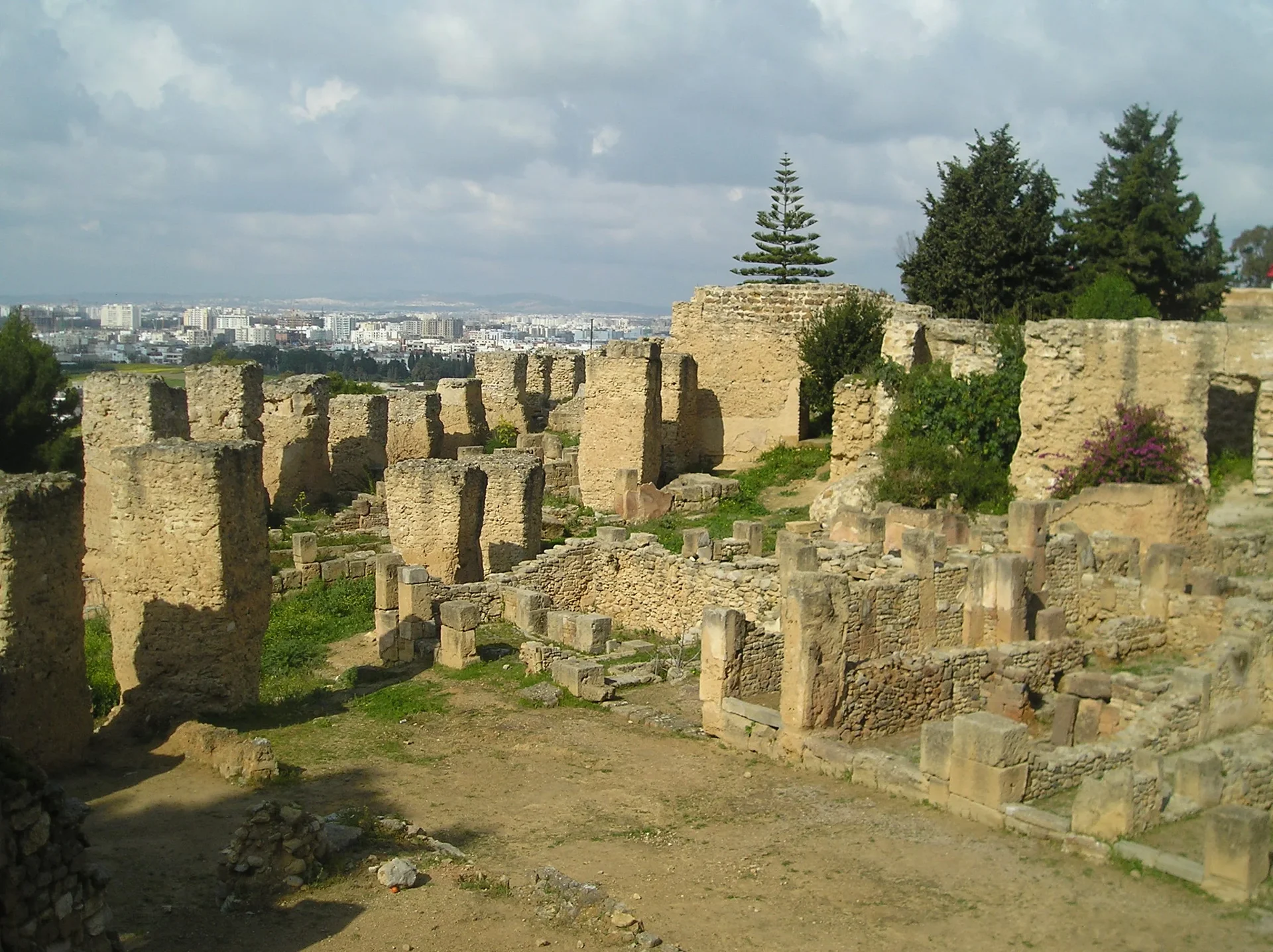 The Ruins of Carthage on Byrsa Hill